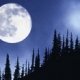Biggest and Brightest Full Moon of 2010 Tonight