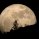 Supermoon: When & Where To See It Best TONIGHT